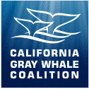 California Gray Whale Coalition