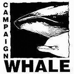 Campaign Whale