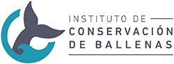 Instituto De Conservacion De Ballenas