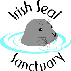 Irish Seal Sanctuary