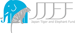 Japan Tiger And Elephant Fund