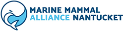 Marine Mammal Alliance Nantucket
