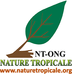 Nature Tropicale