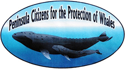 Peninsula Cititzens Protection Whales