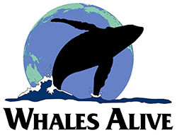 Whales Alive